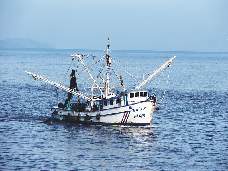 ¡Una vez más! Pescadores alzan la voz por falta de soluciones ante crisis del sector
