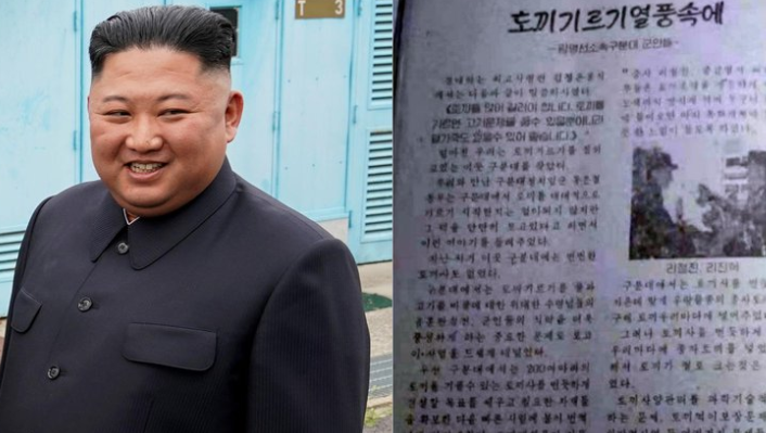El régimen de Corea del Norte le ordenó a sus soldados criar más conejos para poder sobrevivir