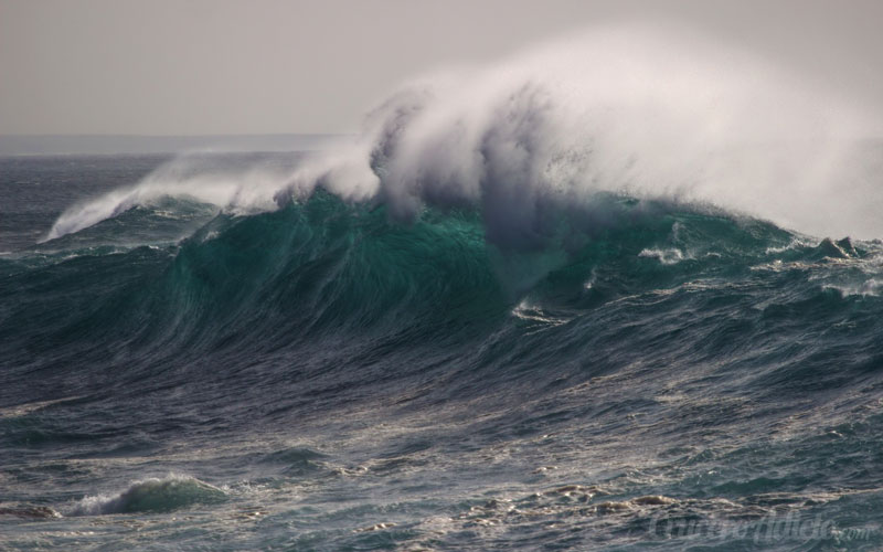 Autoridades piden precaución a embarcaciones por alto oleaje en el Pacífico