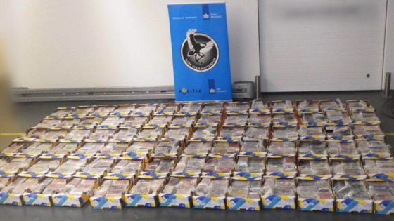 Policía de Holanda decomisa 1 tonelada de droga en un contenedor de piñas proveniente de Costa Rica