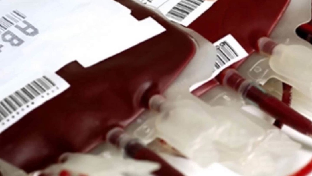 Más de 4 mil personas ya se recuperaron del Covid-19: Solo 233 han donado sangre para tratamiento