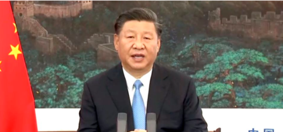Xi Jinping buscó reforzar su alianza con la OMS y rechazó la “politización” y “estigmatización” de la pandemia de coronavirus