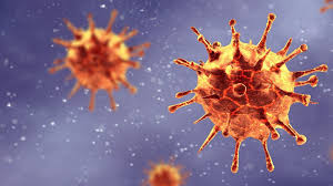 Brasil registró un descenso significativo de muertes por coronavirus: 380 en las últimas 24 horas