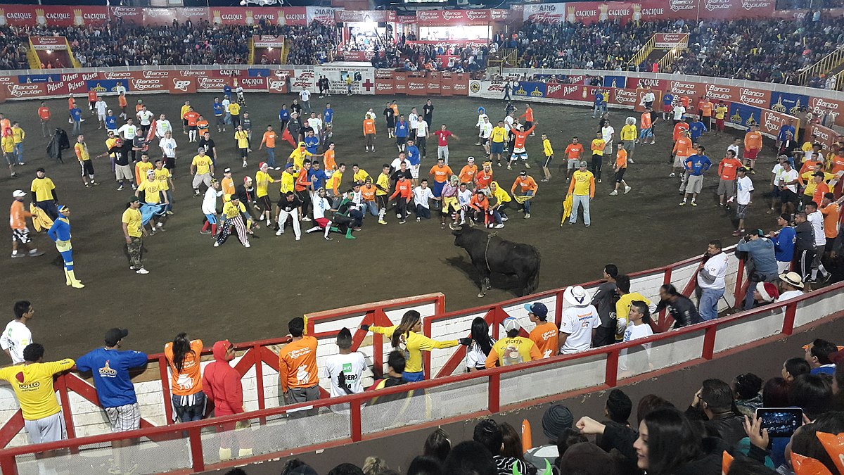 Municipalidad de San José presenta solicitud ante Salud para realizar corridas de toros sin público