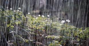 Condiciones lluviosas se mantendrán en gran parte del país