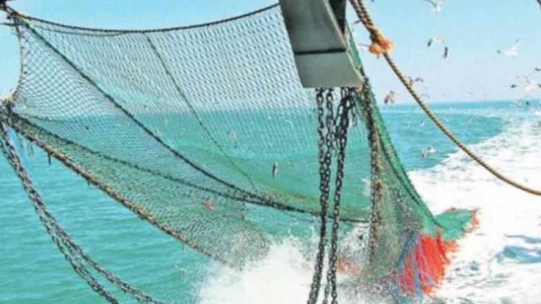 Comisión política del PAC pide a Carlos Alvarado respetar compromiso de campaña y vetar pesca de arrastre