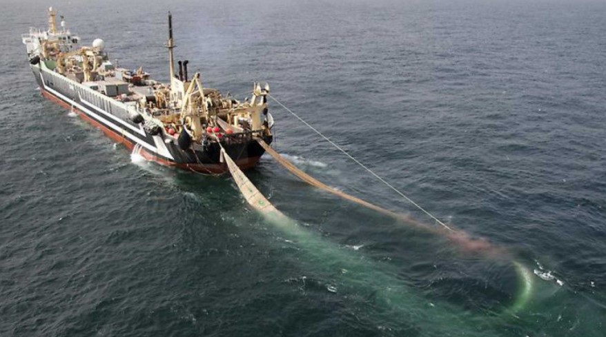 Incertidumbre por veto a pesca de arrastre aumenta tensión entre pescadores y camaroneros en Puntarenas