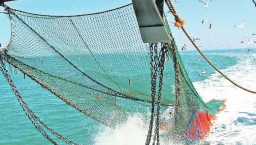 Estudio del INCAE revela que un 47% de los pescadores preferirían cambiar de trabajo