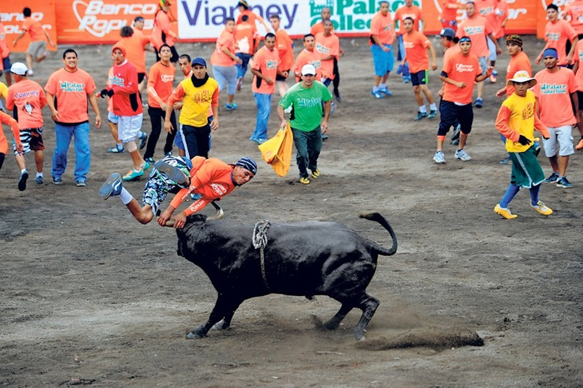 Salud autoriza corridas de toros en redondel de Zapote bajo protocolo sanitario y sin público