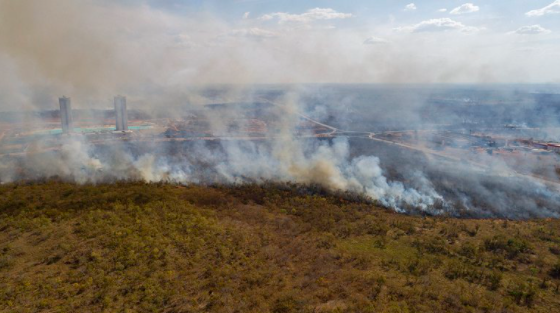 La deforestación en el Amazonas alcanzó con Bolsonaro su mayor nivel desde 2008