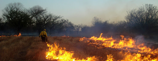 SINAC se prepara para temporada de incendios forestales: arranca el 15 de enero