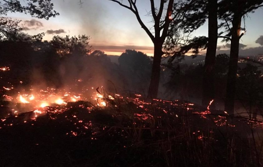Inicia temporada de incendios forestales en el país y autoridades reiteran llamado a precaución