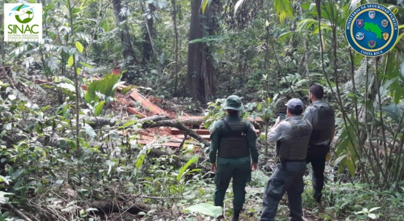 Autoridades sorprenden caza, pesca y tala ilegal en Guanacaste durante primer megaoperativo ambiental