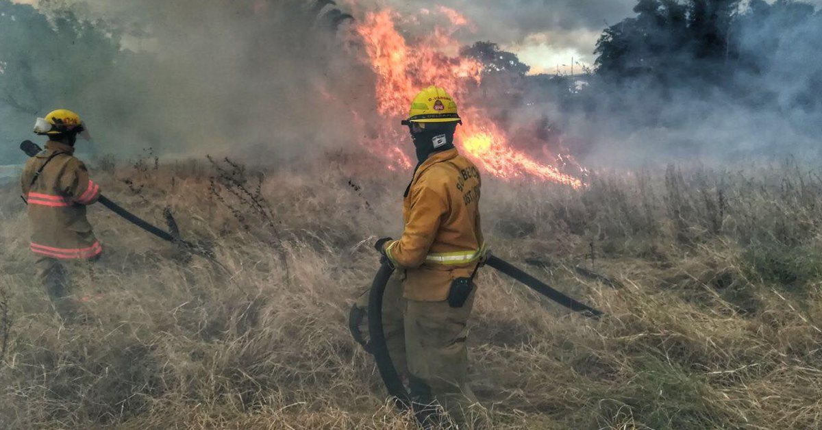 Bomberos reporta 100 hectáreas afectadas por incendios forestales: Sinac refuerza campaña de prevención