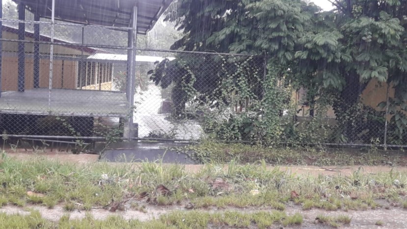 CNE reporta más de 260 personas albergadas y 150 viviendas afectadas por fuertes lluvias