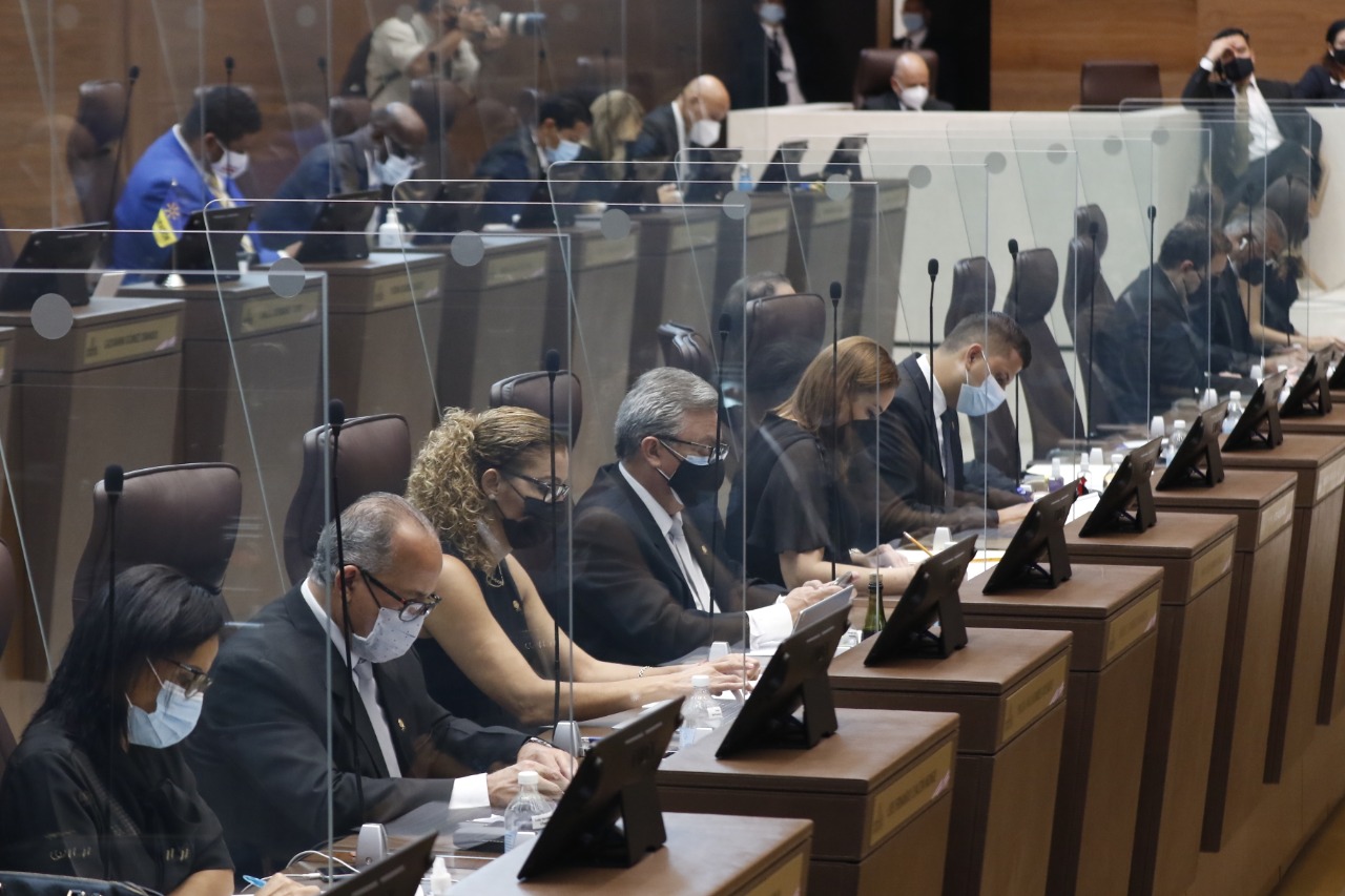 Diputados aprueban habilitar sesiones legislativas del Plenario de forma virtual