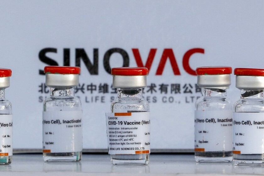 Comisión rechaza comprar vacuna china Sinovac por baja eficacia contra el Covid-19