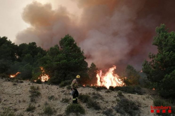 Catástrofe ecológica en España: incendios arrasan miles de hectáreas en Cataluña