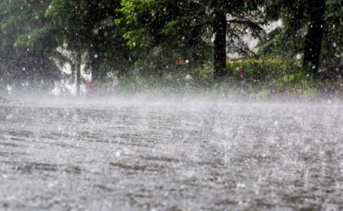 CNE reporta puentes y diques afectados por lluvias en la Zona Sur