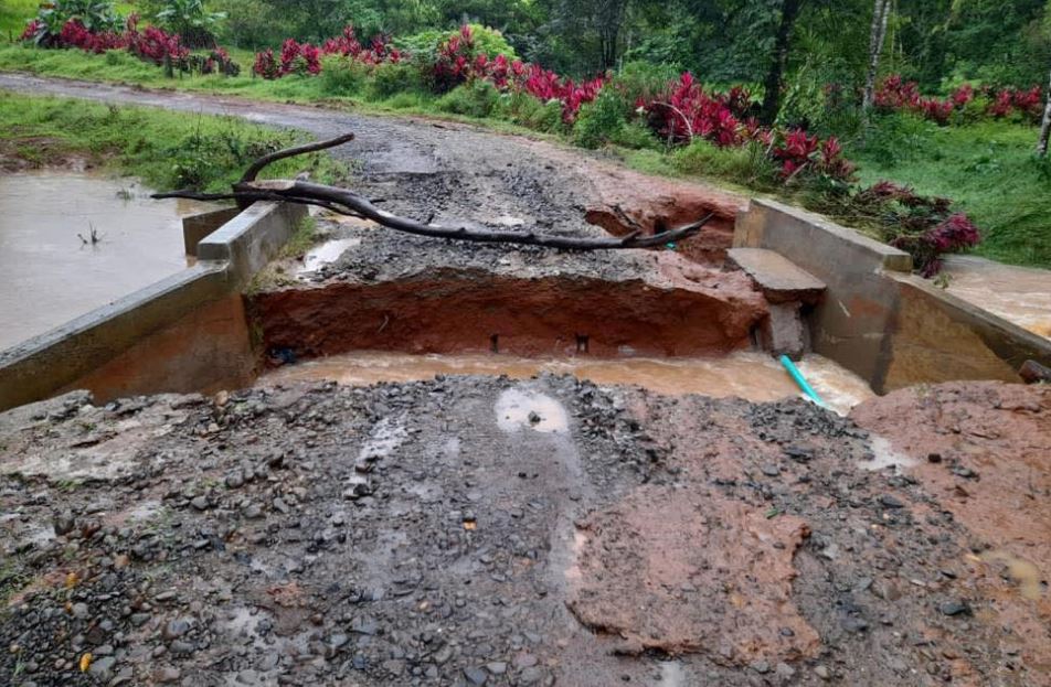 Jefa del PLN pide declarar emergencia tras impacto de lluvias en San Carlos y zonas aledañas