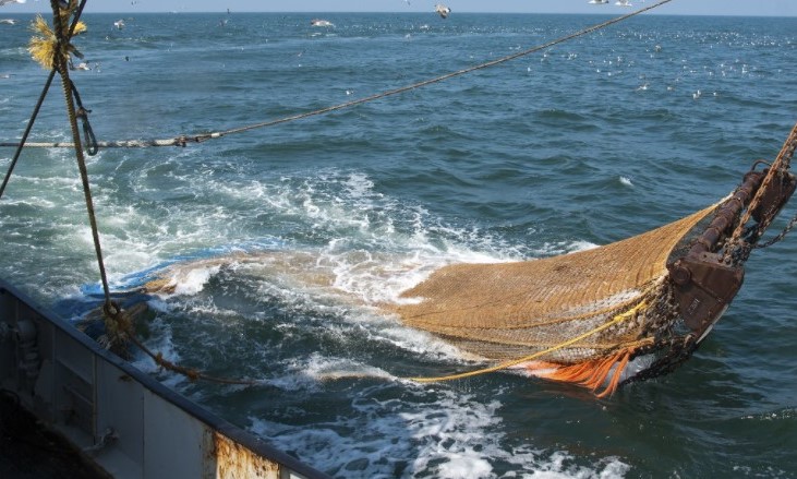 Comisión de Agropecuarios recomendó volver a discutir plan de pesca de arrastre pese a veto presidencial