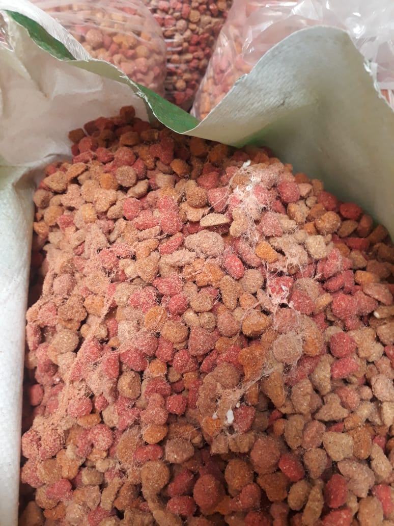 Animalistas denuncian que Municipalidad de Heredia entregó donación de alimento para perro vencido