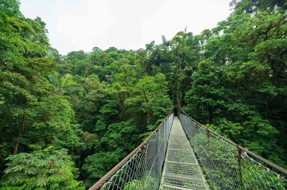 Monteverde se convierte en el cantón número 83 de Costa Rica