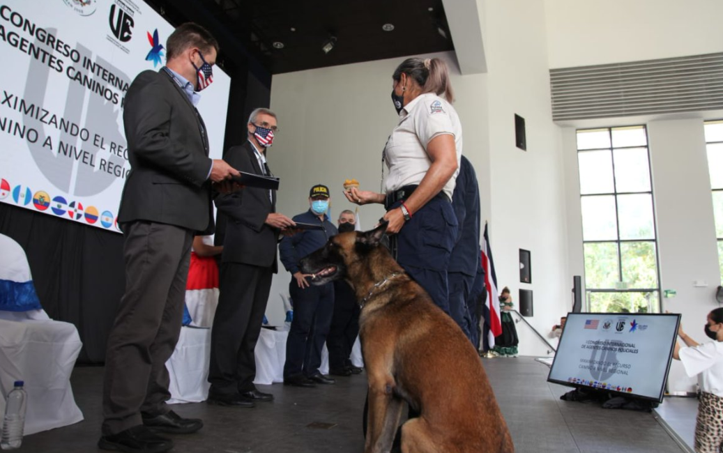 Academia Nacional de Policía estrena modalidad de entrenamiento canino: Cada año se integran 20 perros a unidad especializada