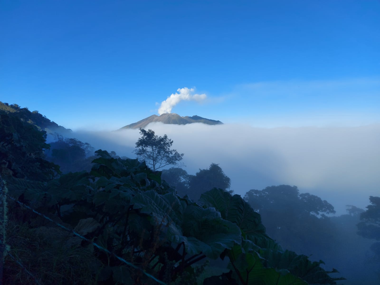 Parque del Volcán Turrialba estará cerrado hasta el 10 de enero por constante emisión de ceniza