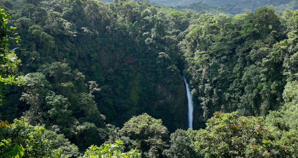 ¡Es oficial! Monteverde es el cantón 83 de Costa Rica tras publicación de Ley en Diario La Gaceta