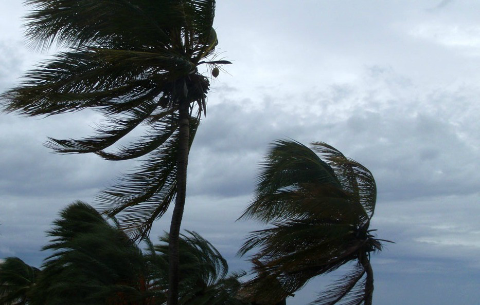 IMN pronostica un inicio de semana con fuertes ráfagas de viento en el territorio nacional