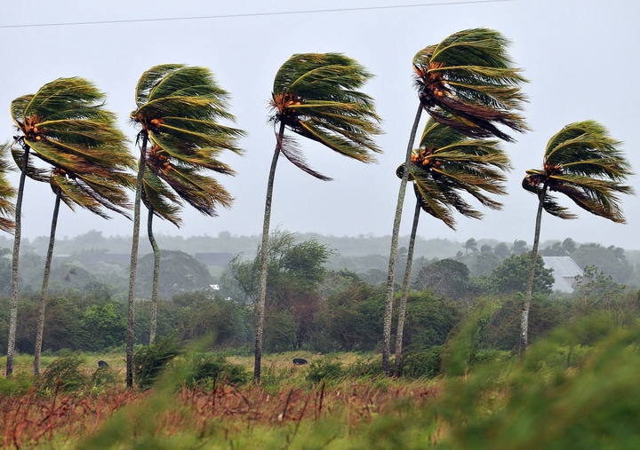 IMN registró vientos con velocidades de hasta 107 km/h: 1500 hogares afectados por ráfagas
