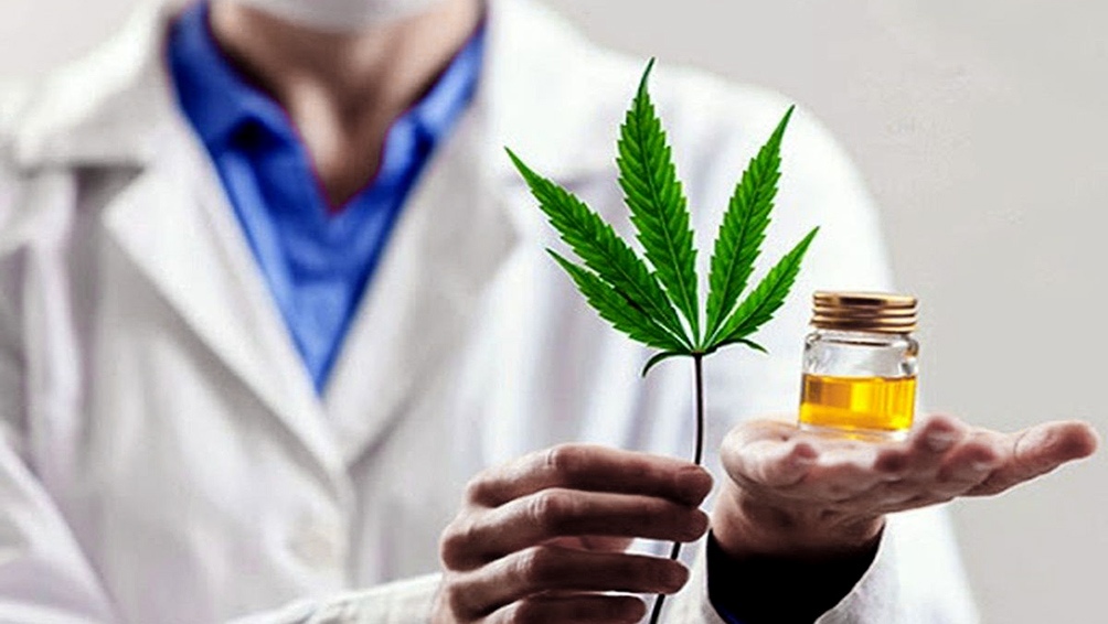 Empresarios del sector urgen aprobación de Ley de cannabis medicinal para dinamizar economía