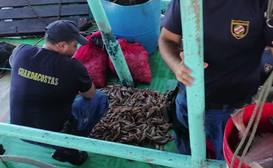 Guardacostas identifican pesca de arrastre en el Golfo de Nicoya mediante embarcaciones medianas