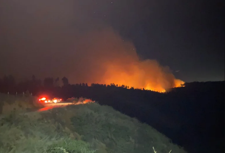 Chile: un incendio forestal cerca de Valparaíso ya arrasó con más de 300 hectáreas y amenaza a zonas pobladas