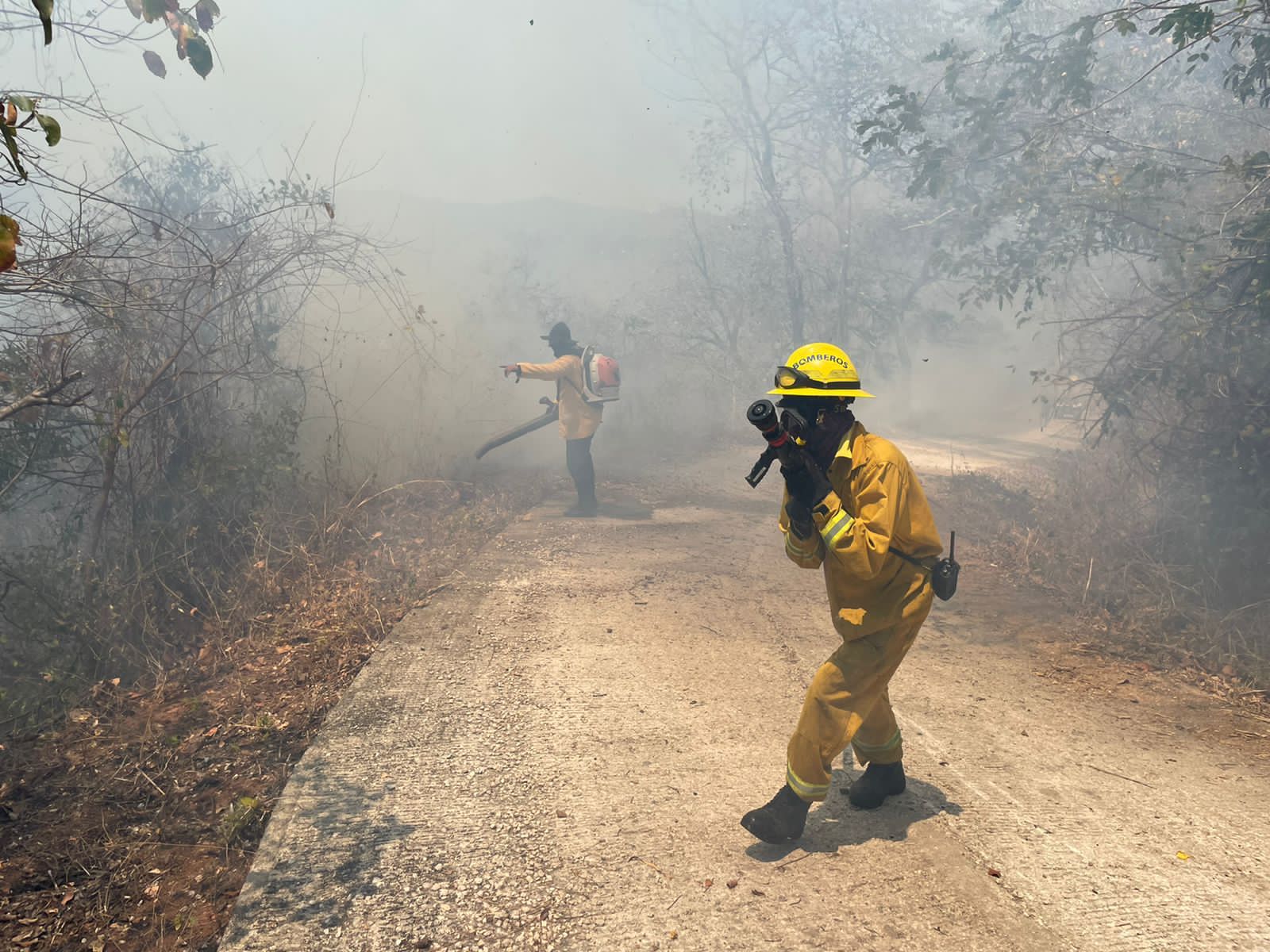 Costa Rica podría tardar hasta 30 años en recuperar cobertura forestal perdida por incendios en Guanacaste