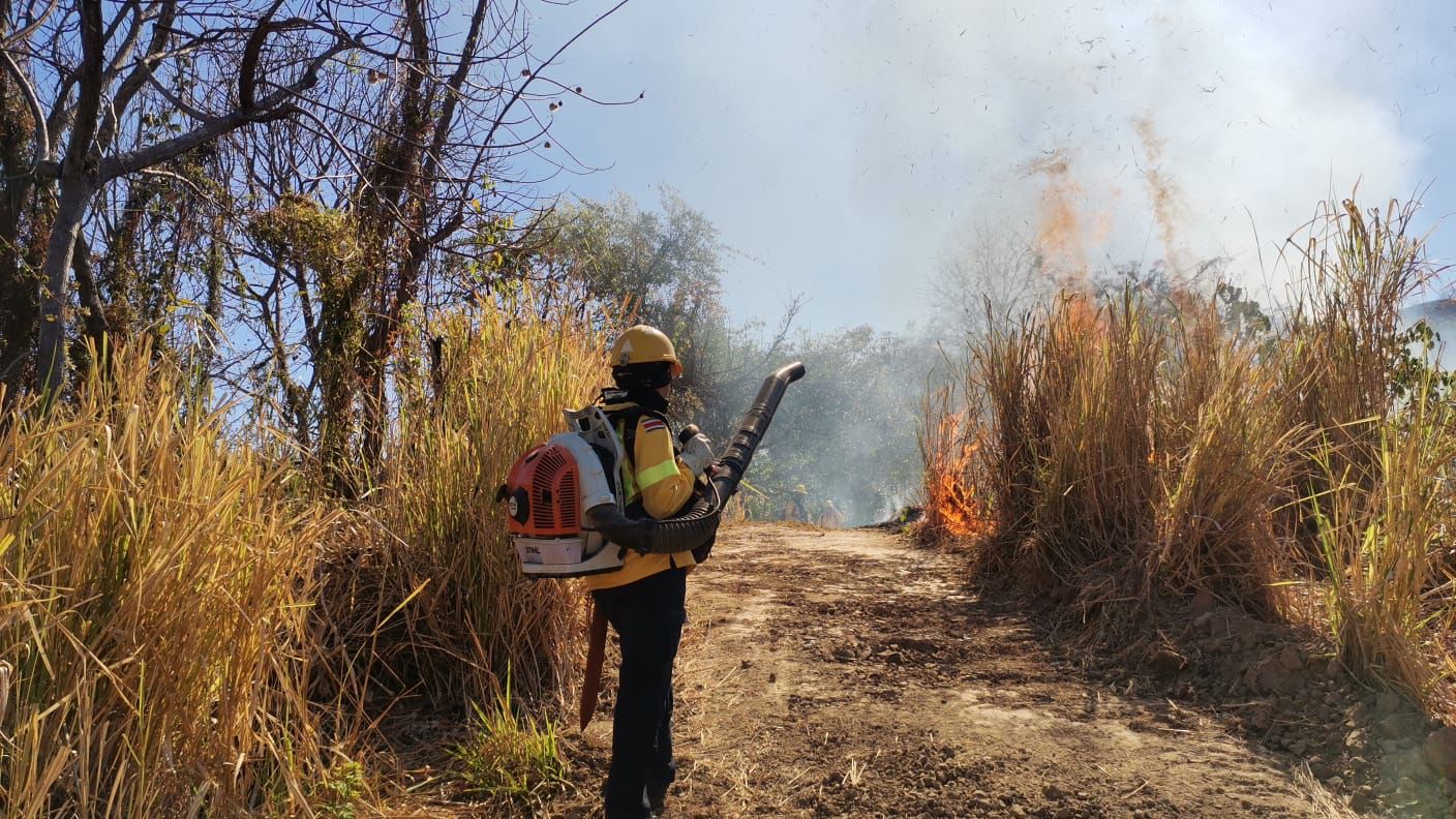 Bomberos registra incremento del 55% en incendios forestales este año con mayoría de eventos en Guanacaste