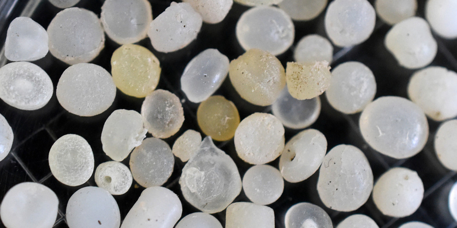 Científicos de la UCR contabilizaron más de 15 mil microplásticos en 24 playas del país