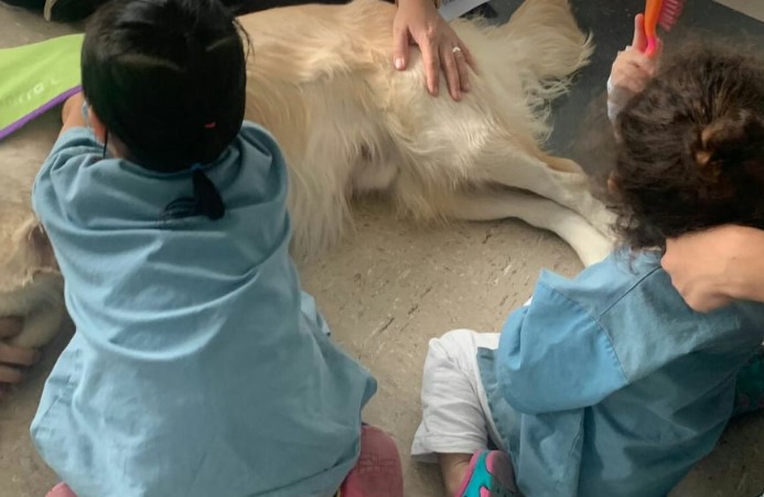 Hospital de Cartago se suma a centros que brindan terapia con perros entrenados