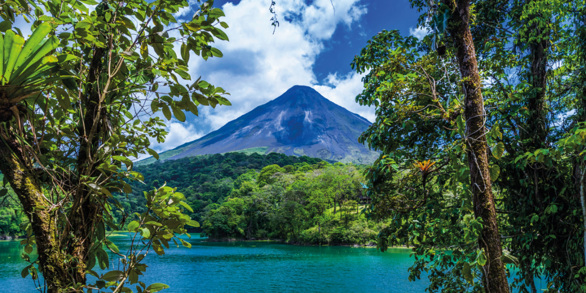 Mediciones de expertos concluyen que en Costa Rica existen más de un millón de especies