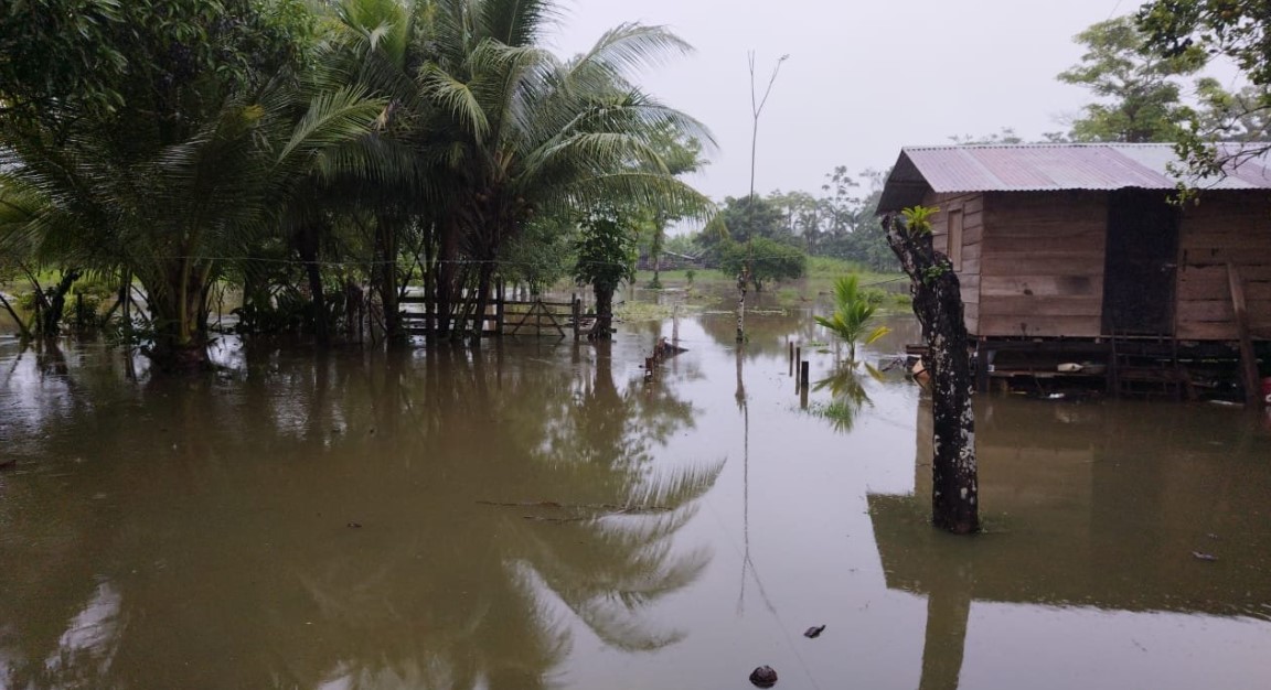 CNE reporta 26 inundaciones y 3 deslizamientos debido a la Tormenta Tropical Bonnie