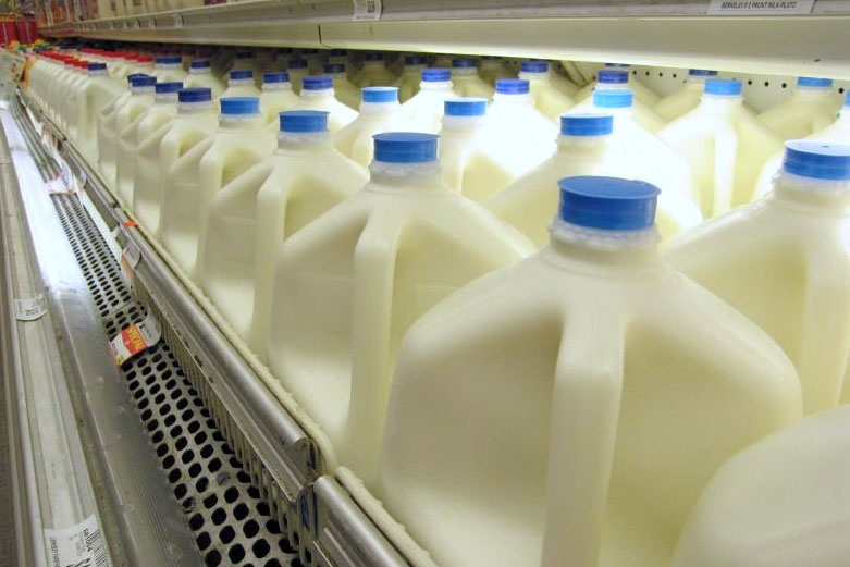 Productores de leche urgen acuerdo binacional entre Costa Rica y Panamá ante afectación por bloqueo comercial