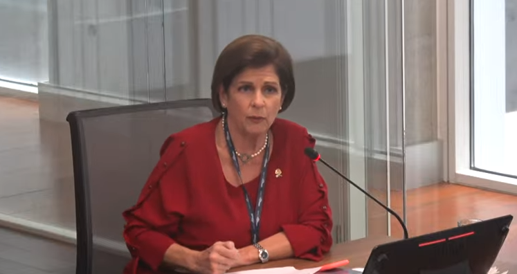 Pilar Cisneros ve con preocupación decisión del Gobierno sobre el FEES
