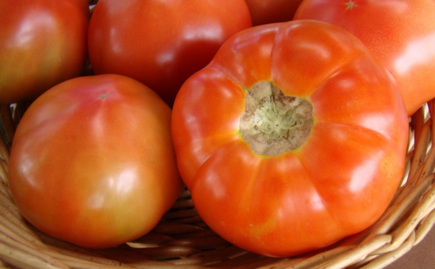 Costos de producción y de fertilizantes dispararon precio del tomate: Es 145% más caro que hace un año