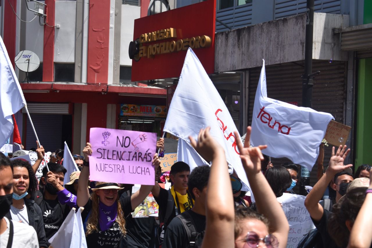 Estudiantes de universidades públicas marcharán este martes contra recorte al FEES propuesto por el Gobierno