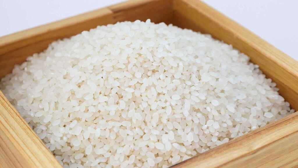 Conarroz lamenta decretos sobre precio del arroz e insiste en que afectarán 33 mil empleos directos e indirectos