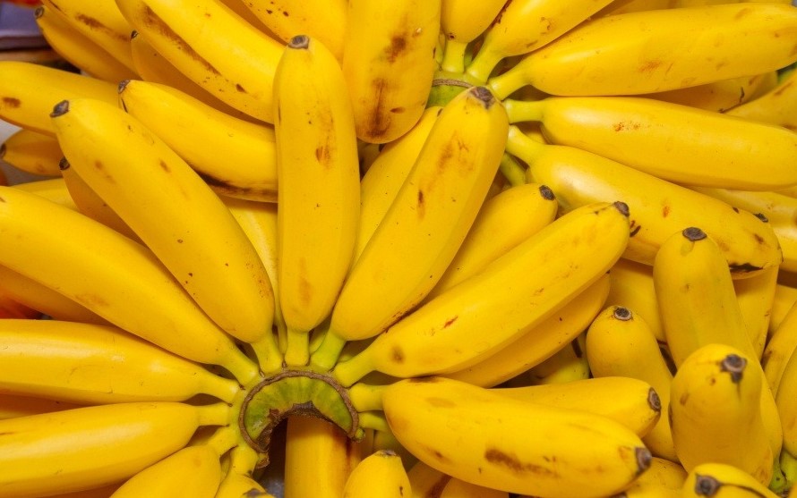 Conflicto entre Rusia y Ucrania complicó exportaciones de banano costarricense ante ‘saturación de mercado’