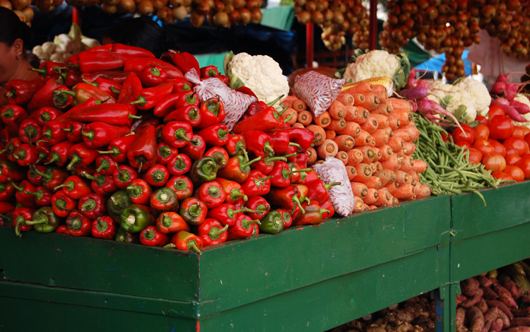 Mayoría de frutas y verduras de las Ferias del Agricultor bajó de precio en la última semana