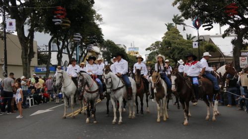 Tope Nacional regresará este 26 de diciembre a San José: Se esperan 5000 caballistas