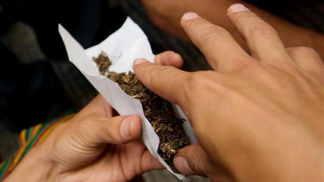 41 personas al día son atendidas en el IAFA por consumo de marihuana